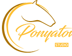 Ponyatov Studio